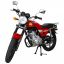 Regulmoto RM125