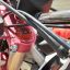 Motoland WRX 250 LITE WFA
